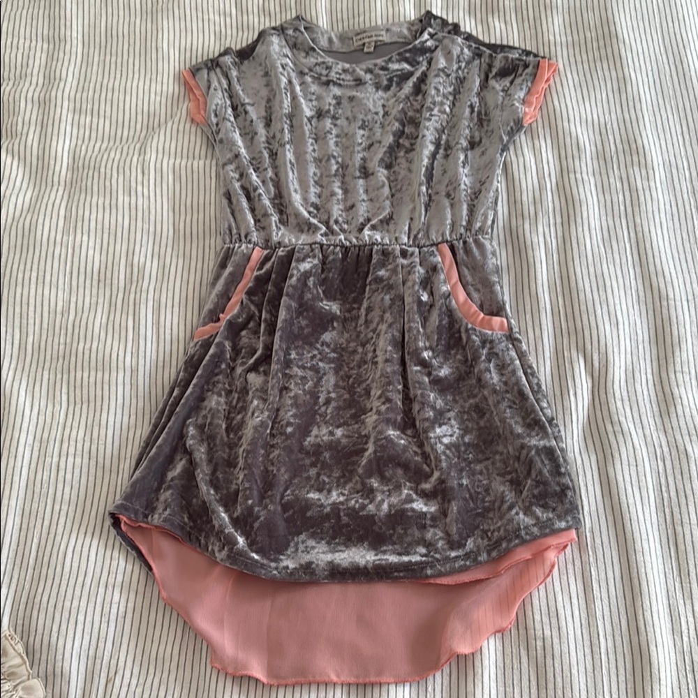 Gray and Pink Velvet Dress Calvin Klein Girl 6x